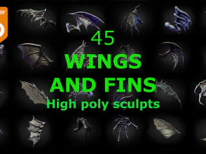 45 FLÜGEL UND FLOSSEN High-Poly-Skulpturen 3D Modell
