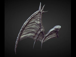 45 WINGS AND FINS high poly sculpts 3D Model
