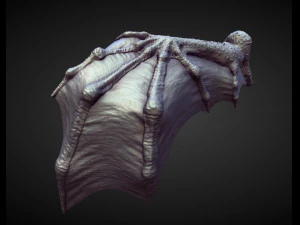 45 WINGS AND FINS high poly sculpts 3D Model
