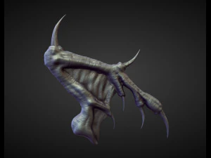 45 WINGS AND FINS high poly sculpts 3D Model