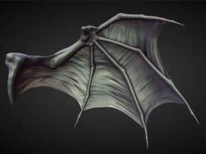 45 WINGS AND FINS high poly sculpts 3D Model