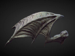 45 WINGS AND FINS high poly sculpts 3D Model