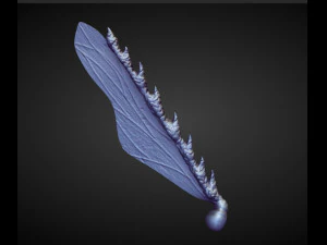 45 WINGS AND FINS high poly sculpts 3D Model