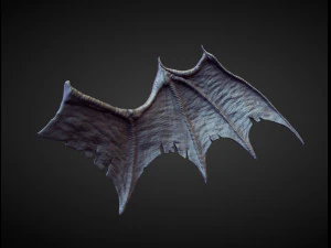 45 WINGS AND FINS high poly sculpts 3D Model