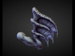 45 WINGS AND FINS high poly sculpts 3D Model