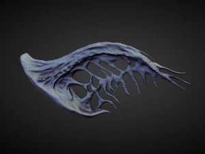 45 WINGS AND FINS high poly sculpts 3D Model