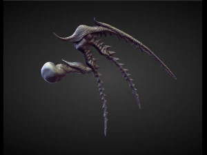 45 WINGS AND FINS high poly sculpts 3D Model