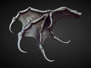 45 WINGS AND FINS high poly sculpts 3D Model