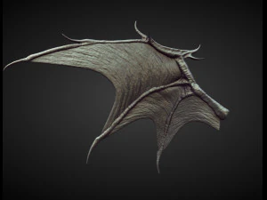 45 WINGS AND FINS high poly sculpts 3D Model