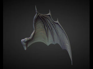 45 WINGS AND FINS high poly sculpts 3D Model