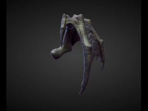 45 WINGS AND FINS high poly sculpts 3D Model