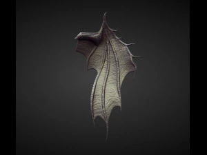 45 WINGS AND FINS high poly sculpts 3D Model