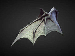 45 WINGS AND FINS high poly sculpts 3D Model