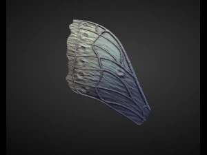 45 WINGS AND FINS high poly sculpts 3D Model