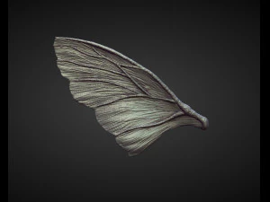 45 WINGS AND FINS high poly sculpts 3D Model