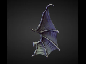 45 WINGS AND FINS high poly sculpts 3D Model