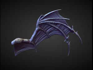45 WINGS AND FINS high poly sculpts 3D Model