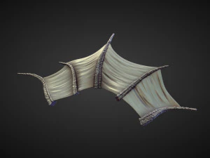 45 WINGS AND FINS high poly sculpts 3D Model