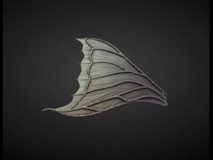 45 WINGS AND FINS high poly sculpts 3D Model