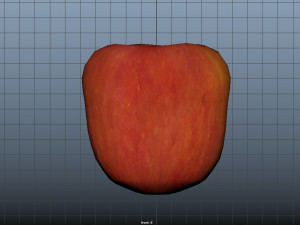 apple 3D 模型