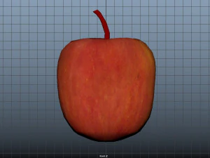 apple 3D Model