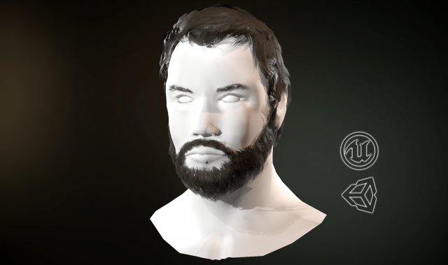 hair and beard cards 3D 模型 .c4d .max .obj .3ds .fbx .stl .blend 