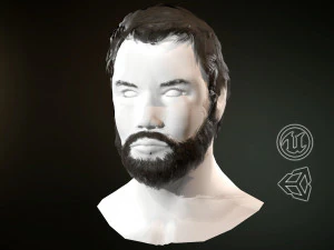 hair and beard cards 3D Model