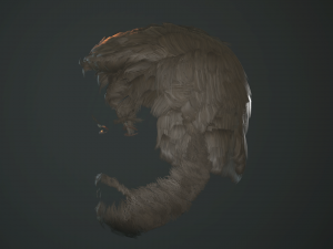 hair and beard cards 3D 模型