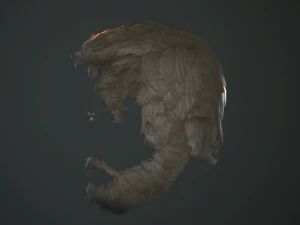 hair and beard cards 3D Model