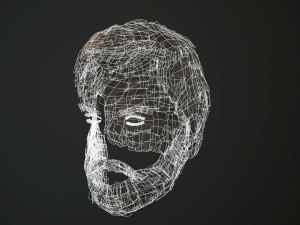 hair and beard cards 3D 模型