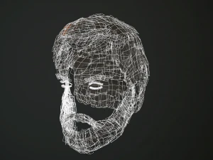 hair and beard cards 3D Model