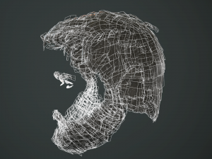 hair and beard cards 3D 模型