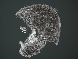 hair and beard cards 3D Model