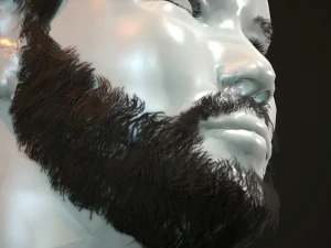 hair and beard cards 3D Model