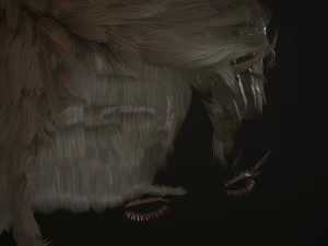 hair and beard cards 3D Model