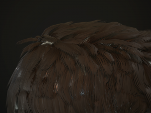 hair and beard cards 3D 模型