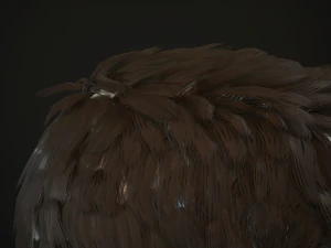 hair and beard cards 3D Model