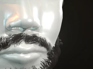 hair and beard cards 3D Model