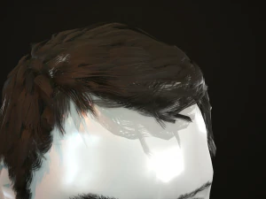 hair and beard cards 3D Model