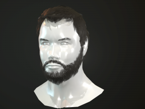 hair and beard cards 3D 模型