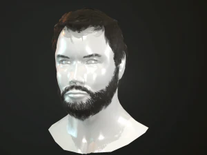 hair and beard cards 3D Model