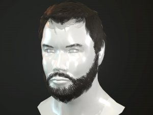 hair and beard cards 3D 模型