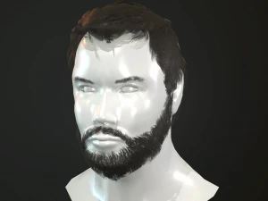hair and beard cards 3D Model