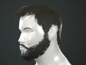 hair and beard cards 3D Model