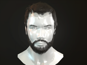 hair and beard cards 3D 模型