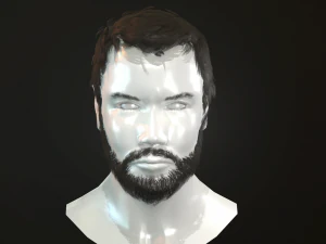 hair and beard cards 3D Model
