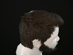hair and beard cards 3D 模型