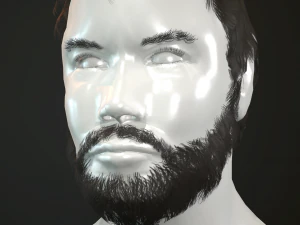 hair and beard cards 3D Model