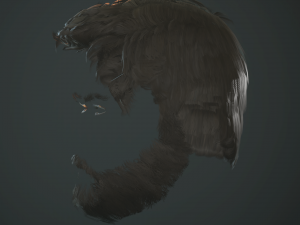 hair and beard cards 3D 模型