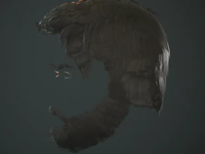 hair and beard cards 3D Model